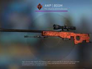 AWP 3D Model