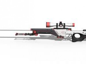 AWP 3D Model