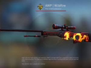AWP 3D Model