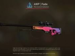 AWP 3D Model