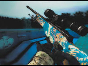 AWP Model 3D