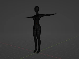 Female Base Model 3D Model