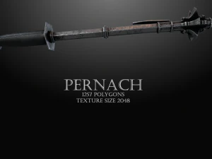 페르나흐 3D 모델