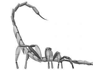 Scorpio Model 3D