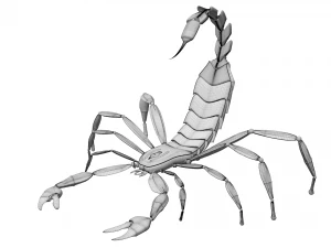 Скорпион 3D Модель