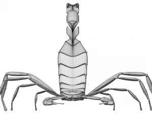 Скорпион 3D Модель