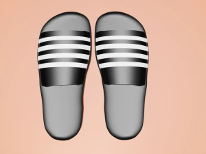 Basic slippers model 3D Model