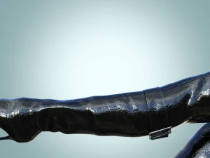Knee high boots Paulo Biondini 3D Model