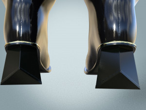 Stylish High Boots Model 3D