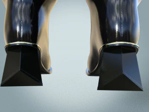 Stylish High Boots 3D Model