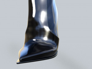 Boots Zara Dolce Gabbana 3D Model