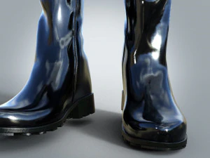 Lacquered Treads with lacing 3D Model