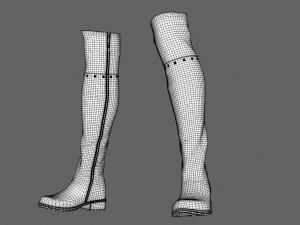 Lacquered Treads with lacing 3D Model