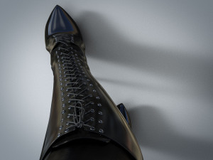 Boots with lacing two pairs 3D Model