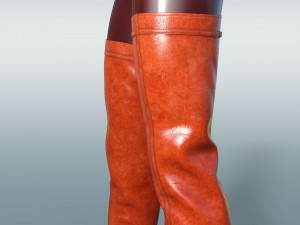 Boots AMI 3D मॉडल