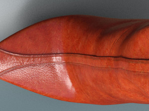 Boots AMI 3D मॉडल