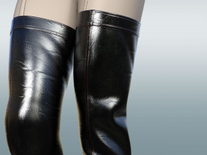 Boots AMI 3D मॉडल
