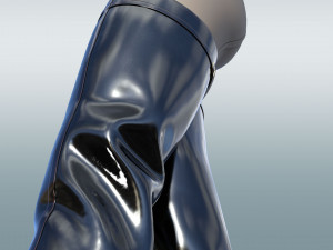 Boots AMI 3D मॉडल