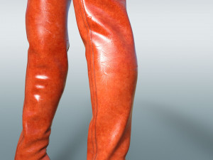 Boots AMI 3D मॉडल