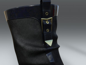 Amazing boots boots 3D 모델