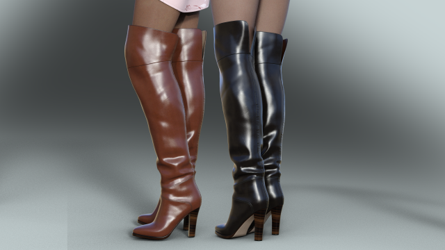 Stylish Womens Boots EMMA KIHG Model 3D .c4d .max .obj .3ds .fbx .stl .blend 