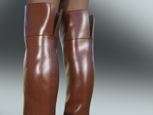 Stylish Womens Boots EMMA KIHG Model 3D