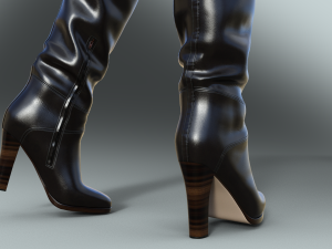 Stylish Womens Boots EMMA KIHG Model 3D