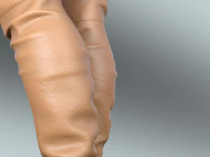 Boots Fernando Berlin 112 3D Model