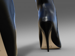 Boots Cristian Dior Modello 3D
