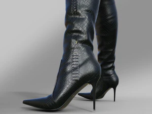 Boots Above the knee with a pointed toe 3D Model