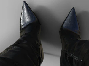 Boots Above the knee with a pointed toe 3D Model
