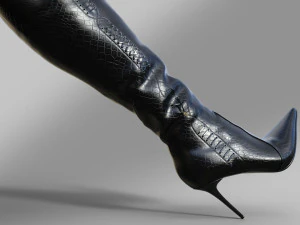 Boots Above the knee with a pointed toe 3D Model