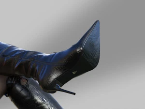 Boots Above the knee with a pointed toe 3D Model