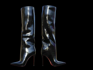 Elegant Tube Boots 3D Model