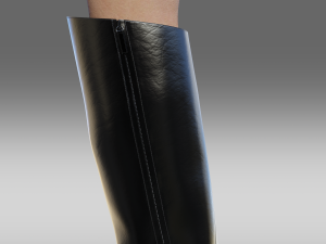 Alexandre Vauthier Boots Alex 105 1 3D मॉडल