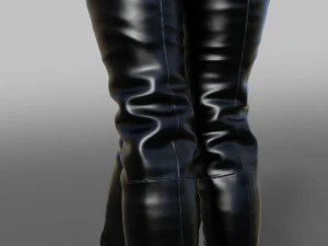 Two pairs of AROLLO boots 3D Model