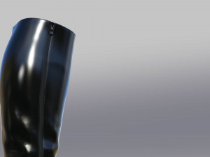 GO GO BOOTS Modello 3D