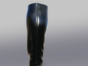 GO GO BOOTS Modello 3D