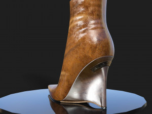 Ankle Boots Jan Marco Lorenzo 3D 模型