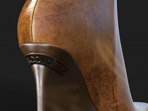 Ankle Boots Jan Marco Lorenzo 3D 模型