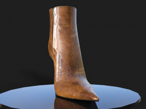 Ankle Boots Jan Marco Lorenzo 3D 模型