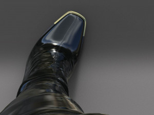 Patent leather boots two pairs 3D Model