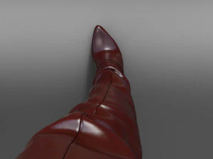 HIGH BOOTS 2 3D Model