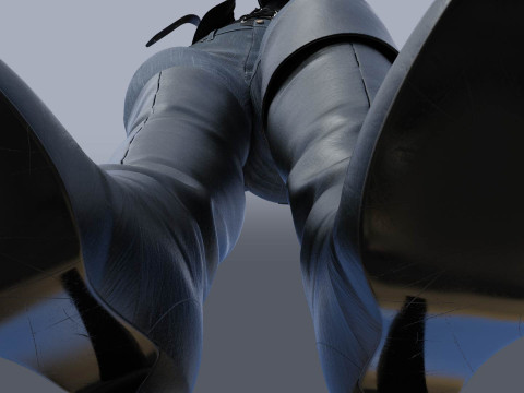 Womens Cavalry Boots Model 3D