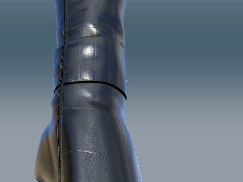 Two Pairs Of Gianmarco Lorenzi2 Ankle Boots Model 3D