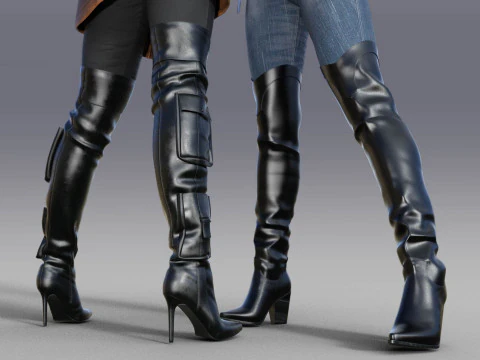 Стильные женские высокие сапоги две пары 3D Модель
