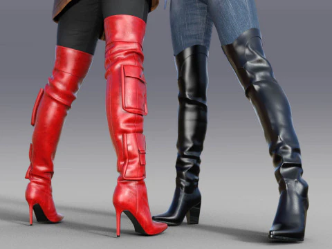 Stylish Womens High Boots two pairs 3D Model