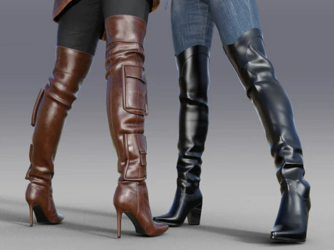 Stylish Womens High Boots two pairs 3D Model