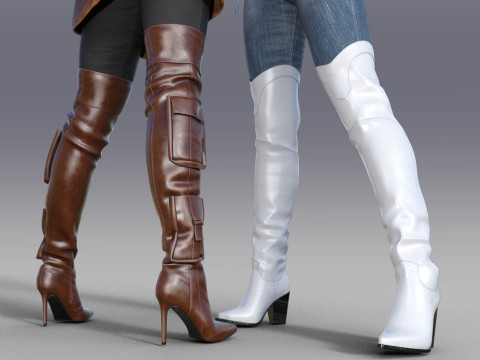 Stylish Womens High Boots two pairs 3D Model