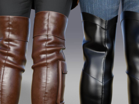 Stylish Womens High Boots two pairs 3D Model